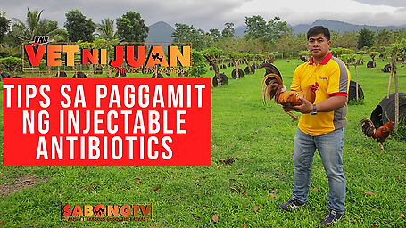 Tips sa Paggamit ng Injectable Antibiotics sa Vet Ni Juan October 30, 2022
